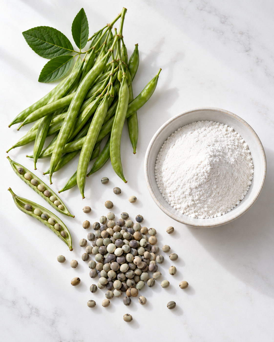 Fresh green guar bean pods, two split open to show the seeds inside, beside a scattering of guar seeds and a dish of fine white partially hydrolyzed guar gum powder.